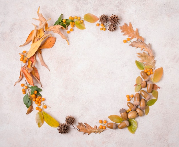 Kostenloses Foto draufsicht des herbstrahmens mit blättern und eicheln