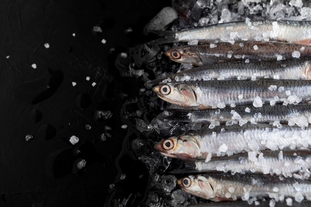 Draufsicht des kleinen Fisches mit Eis