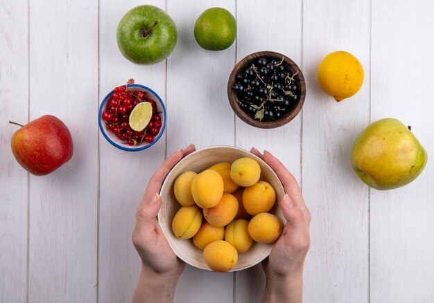 Draufsicht des Mädchens hält Aprikosen in einer Schüssel mit Äpfeln und schwarzen und roten Johannisbeeren auf einer weißen Oberfläche