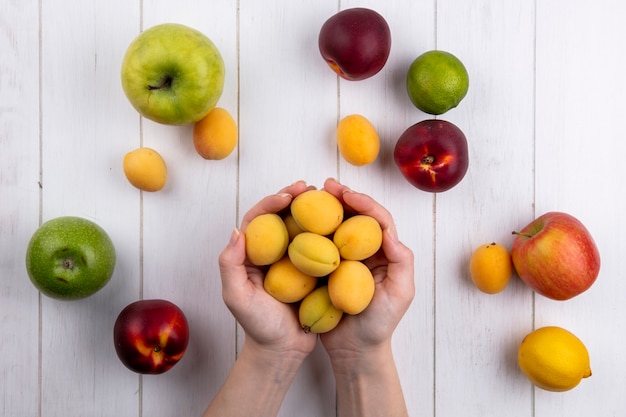 Draufsicht des Mädchens hält in ihren Händen Aprikosen mit Pfirsichäpfeln und Zitrone auf einer weißen Oberfläche