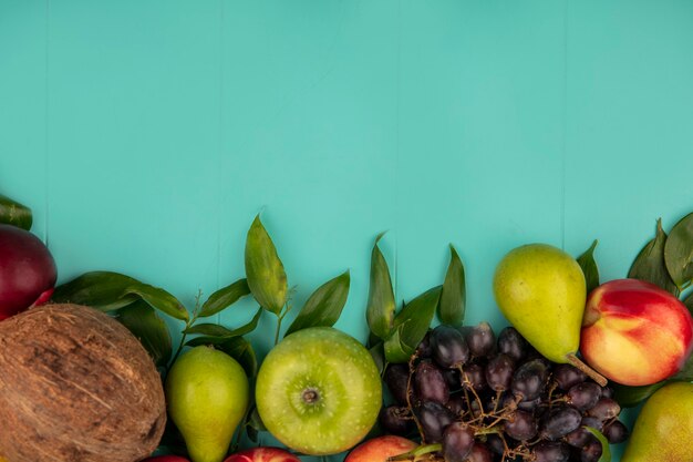 Draufsicht des Musters von Früchten als Kokosnussbirnenpfirsich-Traubenapfel mit Blättern auf blauem Hintergrund mit Kopienraum