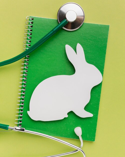 Draufsicht des Notizbuchs mit Papierhase und Stethoskop für Tiertag