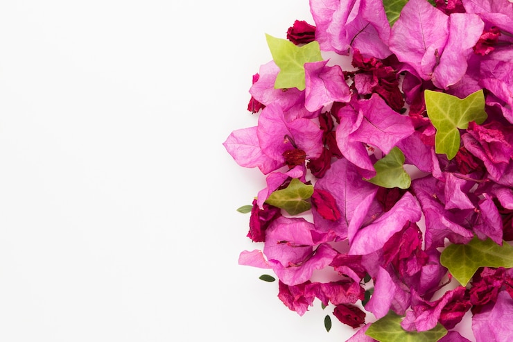 Kostenlose Foto draufsicht des schönen blumenkonzepts