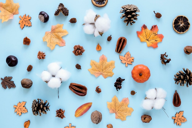 Kostenloses Foto draufsicht des schönen naturkonzepts