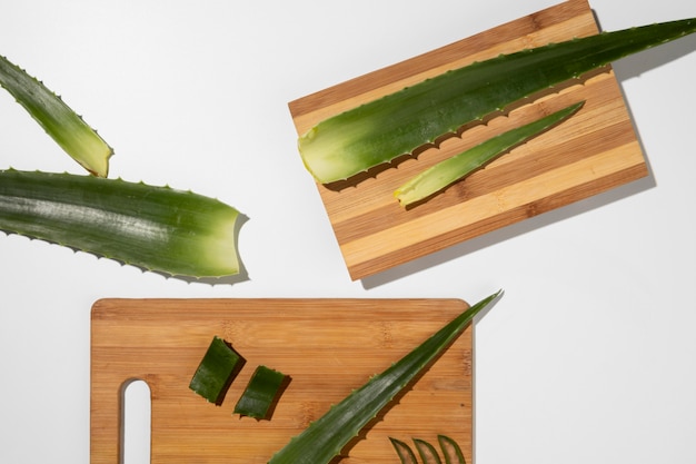 Draufsicht des Schönheitskonzepts der Aloe Vera