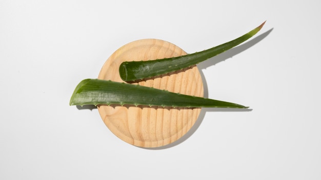 Draufsicht des Schönheitskonzepts der Aloe Vera