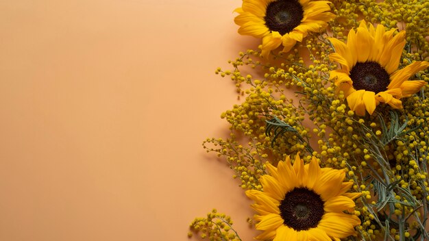 Draufsicht des Sonnenblumenrahmens mit Kopienraum