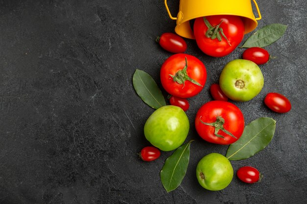 Draufsicht-Eimer mit Rotgrün- und Kirschtomaten-Lorbeerblättern auf dunklem Grund mit Kopierraum