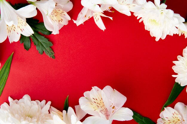 Draufsicht eines Rahmens der weißen Farbe alstroemeria Blumen mit Chrysanthemenblumen auf rotem Hintergrund mit Kopienraum