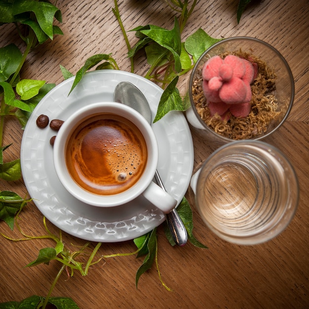 Draufsicht Espressokaffee mit Wasser und Traubenzweig und Löffel in Tasse