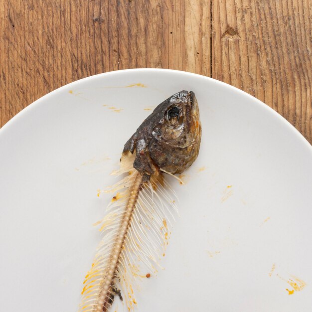 Draufsicht Fischgräten auf Tisch