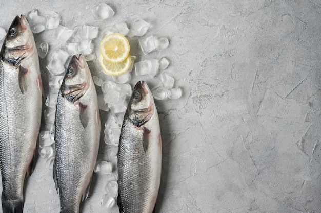 Draufsicht Fischrahmen mit Eis und Zitrone