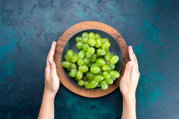 Kostenloses Foto draufsicht frische grüne trauben milde saftige früchte innerhalb platte auf dem dunkelblauen schreibtisch.