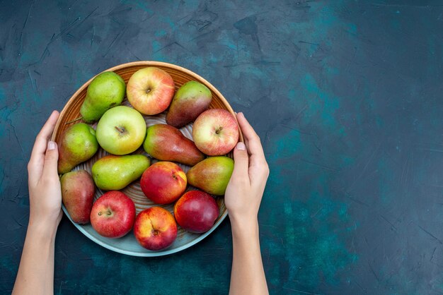 Draufsicht frische milde Früchte Birnen und Äpfel innerhalb Platte auf dunkelblauem Bodenfrucht frisches reifes mildes Vitamin