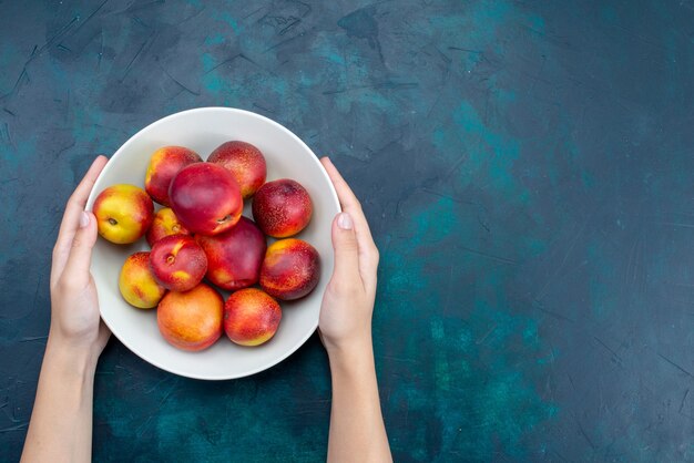 Draufsicht frische milde Pfirsiche innerhalb Platte auf dunkelblauem Schreibtischfrucht frisches reifes mildes Vitamin