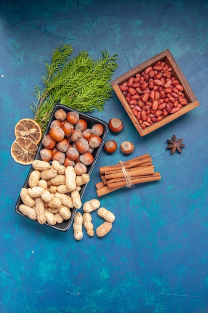 Draufsicht frische Nüsse Zimt Haselnüsse und Erdnüsse in Teller auf blauem Hintergrund Walnuss Farbe Snack Cips Foto Pflanze Baumnuss