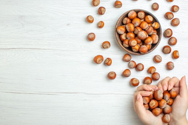 Draufsicht frische rohe Haselnüsse auf weißem Tisch Walnuss-Nuss-Pflanzen-Nahrung-Snack weiblicher Filmfreiraum