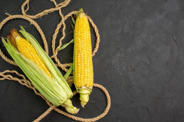 Draufsicht frische rohe Körner mit Seilen