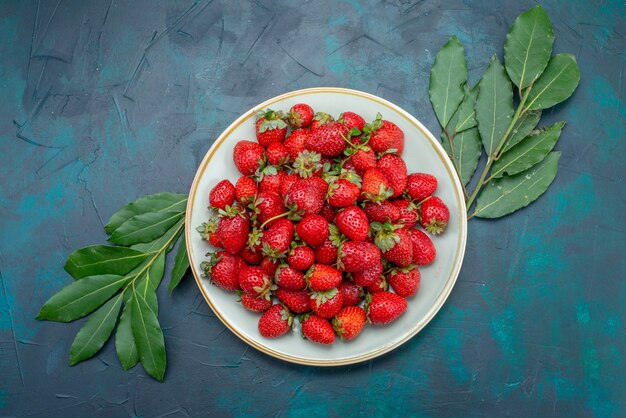 Draufsicht frische rote Erdbeeren milde Früchte Beeren innerhalb Platte auf dem dunkelblauen Hintergrund Beerenfrucht milden Sommer