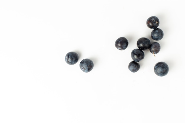 Draufsicht frische schwarze Dornen saure und dunkle Früchte auf dem weißen Hintergrund