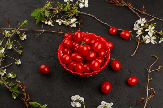 Draufsicht frische Tomaten frisch reif in roter Platte auf der Dunkelheit