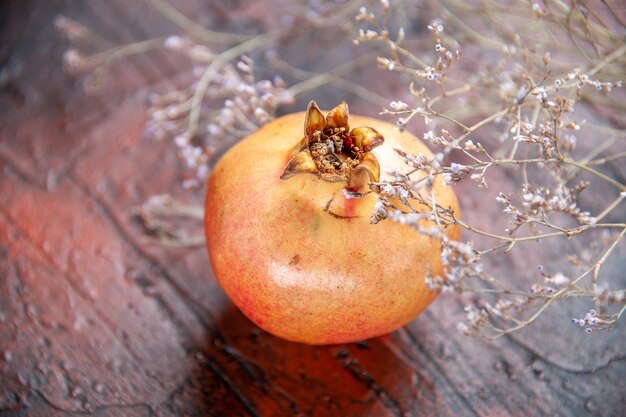 Draufsicht frischer Granatapfel getrockneter Wildblumenzweig auf isoliertem Hintergrund