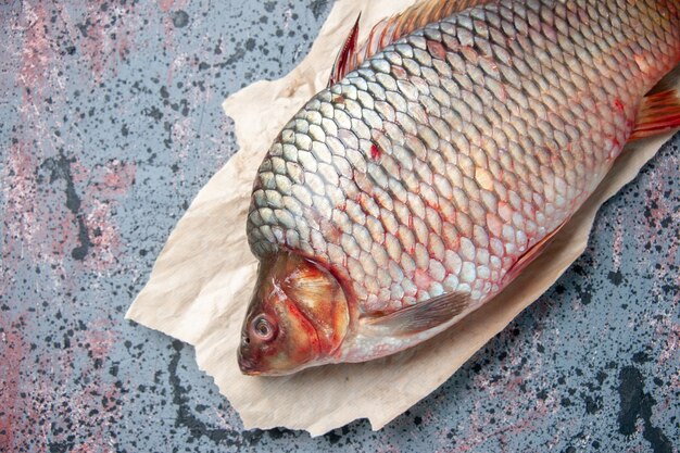 Draufsicht frischer roher Fisch auf blauem Hintergrund