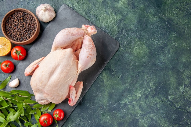 Draufsicht frisches Huhn mit roten Tomaten auf dunkelblauer Oberfläche