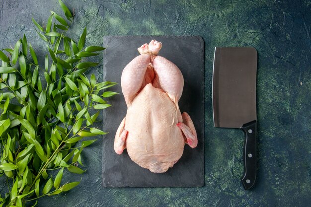 Draufsicht frisches rohes Huhn mit Messer auf dunkelblauem Hintergrund Mahlzeit Tierfleisch Farbfoto Küche Essen Huhn