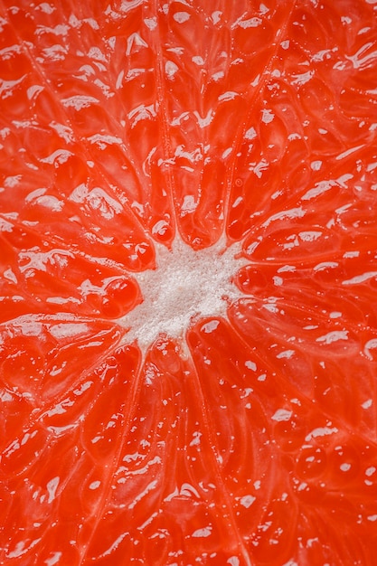 Draufsicht Grapefruit Nahaufnahme Hintergrund