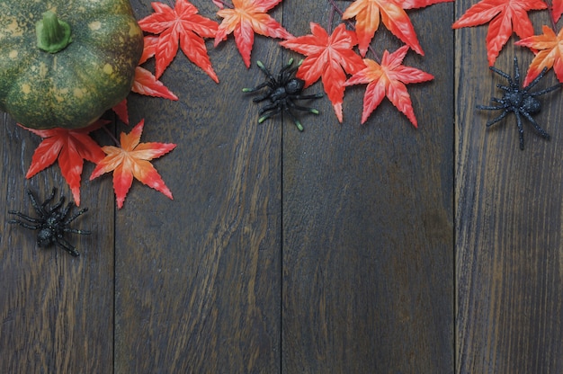 Draufsicht Herbst Elemente auf dunklem Hintergrund