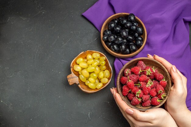 Draufsicht Himbeeren in Schüssel in weiblichen Händen schwarze und gelbe Trauben in Schalen lila Schal dunkle isolierte Oberfläche freien Raum