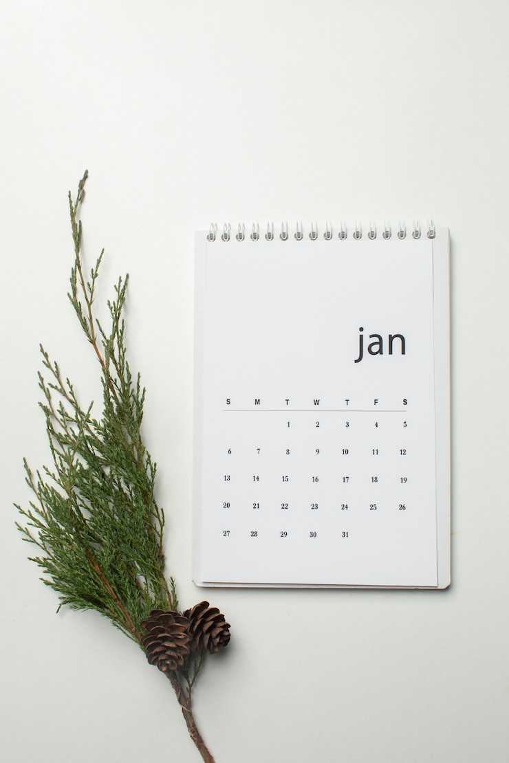 Kostenlose Foto draufsicht januar kalender und pflanze