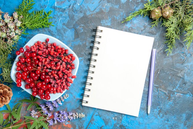 Draufsicht Johannisbeeren und Berberitzen in Schalen Kiefernzweig ein Notizbuch ein Stift auf blauem Hintergrund