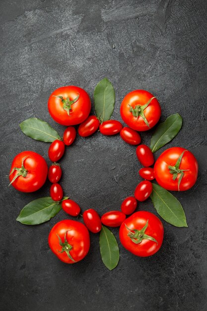 Draufsicht Kirschbaum und rote Tomaten Lorbeerblätter auf dunkler Oberfläche