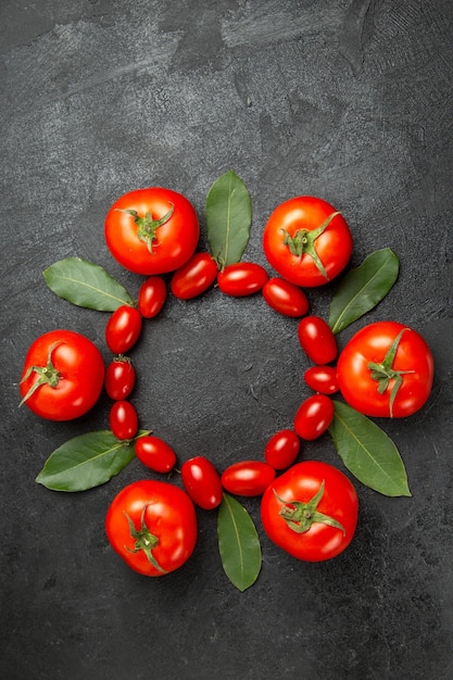 Draufsicht Kirschbaum und rote Tomaten Lorbeerblätter auf dunkler Oberfläche