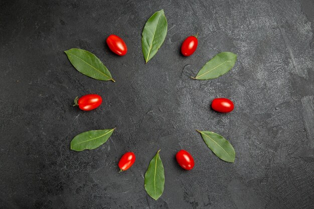 Draufsicht Kirschtomaten und Lorbeerblätter auf dunklem Grund