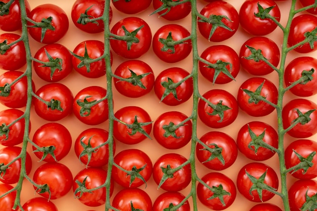 Draufsicht köstliche Tomaten