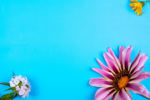 Kostenloses Foto draufsicht kopieren raum lila gänseblümchen mit gelber und weißer blume auf einem blauen hintergrund