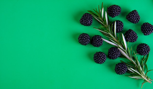 Draufsicht kopieren Raum Rosmarinzweig mit Brombeermarmelade auf einem grünen Hintergrund