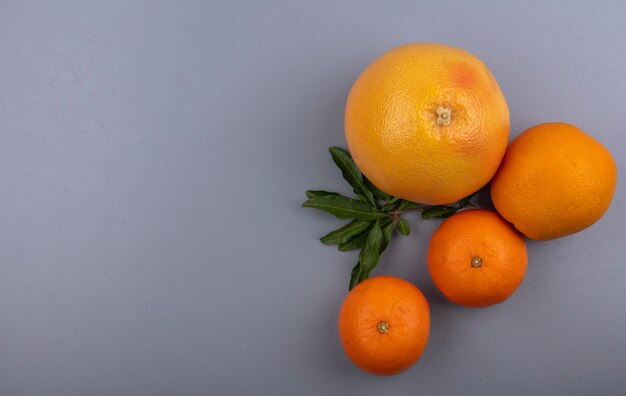 Draufsicht kopieren Raumgrapefruit mit Orangen auf grauem Hintergrund