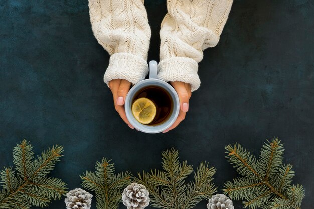 Draufsicht niedliche Winter Tasse Tee und Tannennadeln