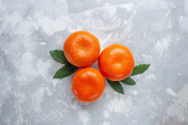 Draufsicht Orange Mandarinen ganze Zitrusfrüchte auf dem Licht Schreibtisch Zitrus exotischen Saft Obst