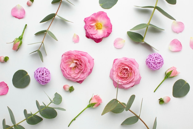 Kostenloses Foto draufsicht rosenblütenblätter