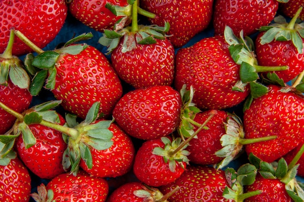 Draufsicht rote Erdbeeren auf blauem Hintergrund