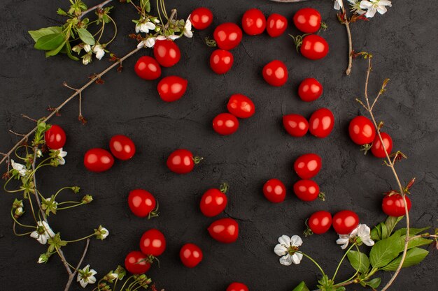 Draufsicht rote Kirschtomaten frisch reif auf dem dunklen Hintergrund