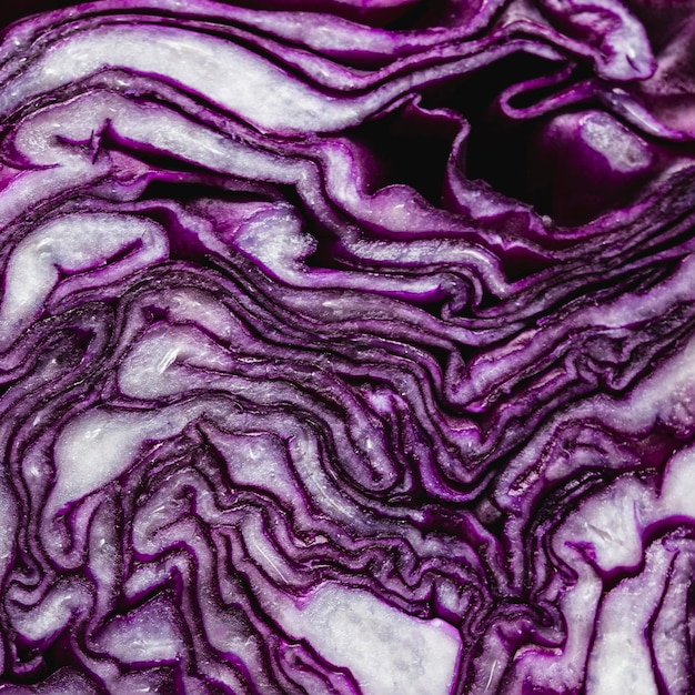 Draufsicht Rotkohl extrem Nahaufnahme