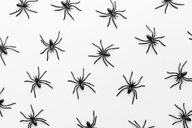 Draufsicht Sammlung von gruseligen Spinnen