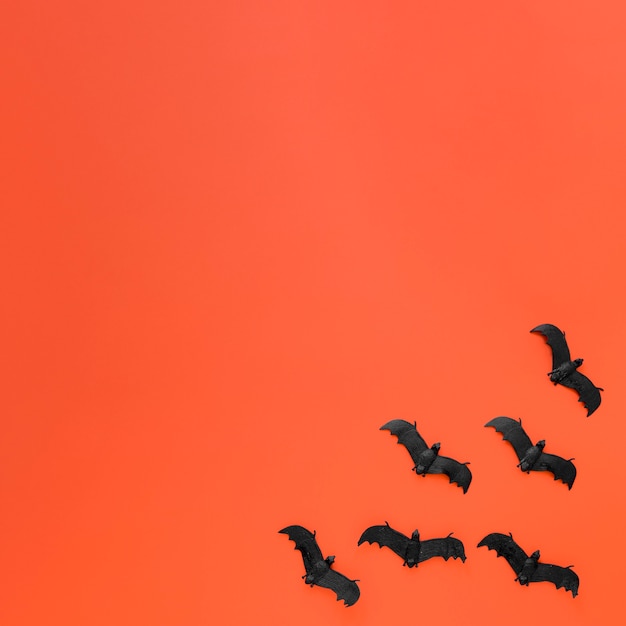 Draufsicht-Sammlung von Halloween-Fledermäusen mit Kopienraum