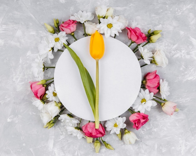 Draufsicht schöne Frühlingsblumenzusammensetzung mit gelber Tulpe